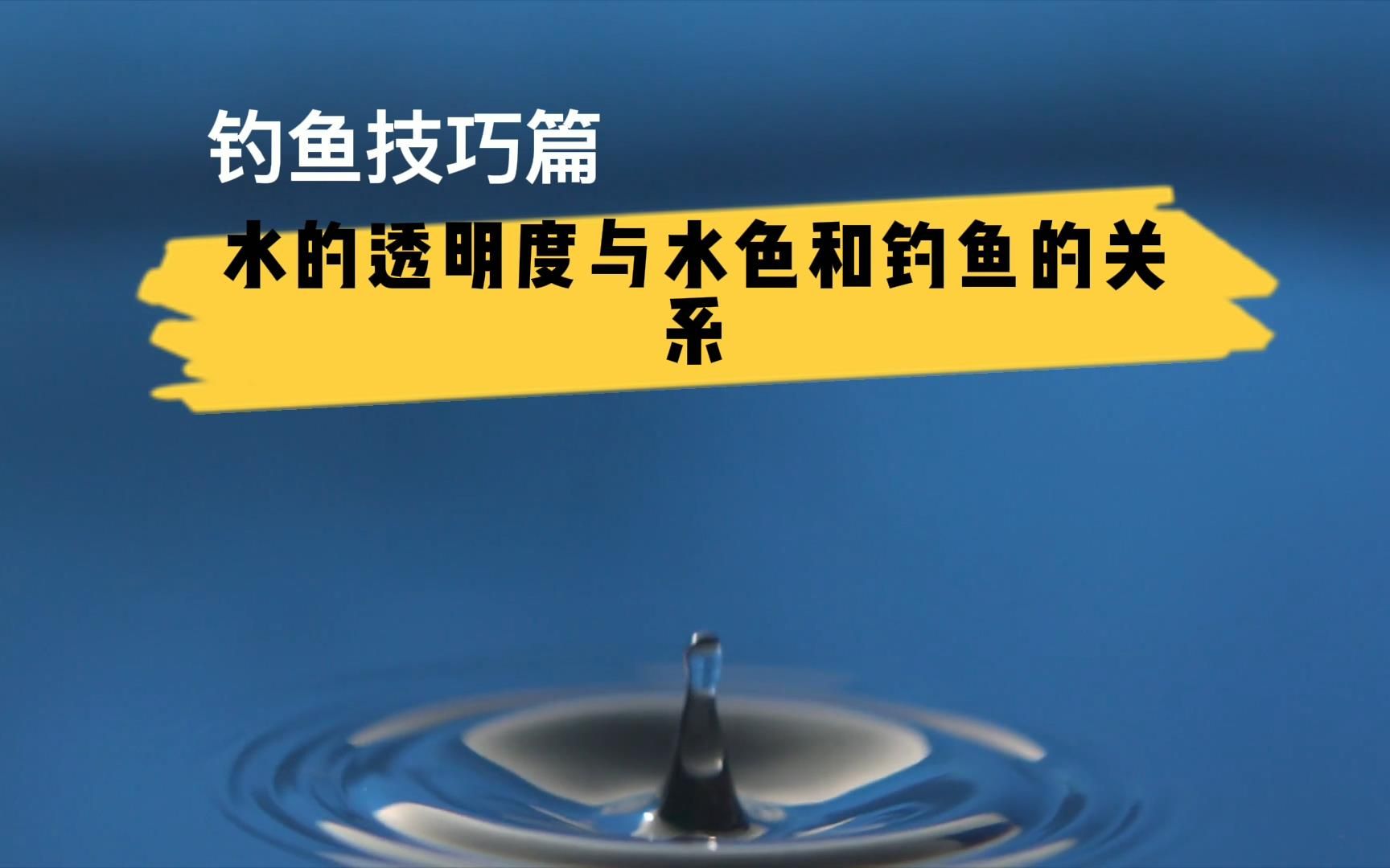 [图]钓鱼高手都这样干？技巧干货分享，观察水的透明度对钓鱼的影响！