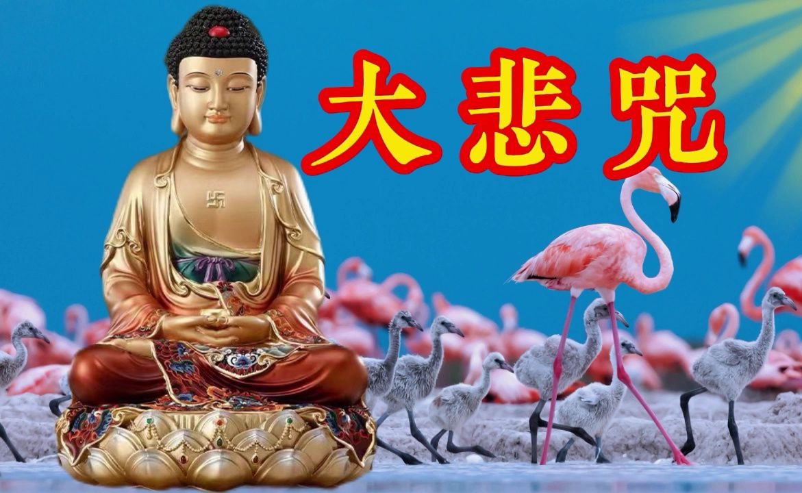 超好听佛曲《南无阿弥陀佛》静心聆听,开心一整天