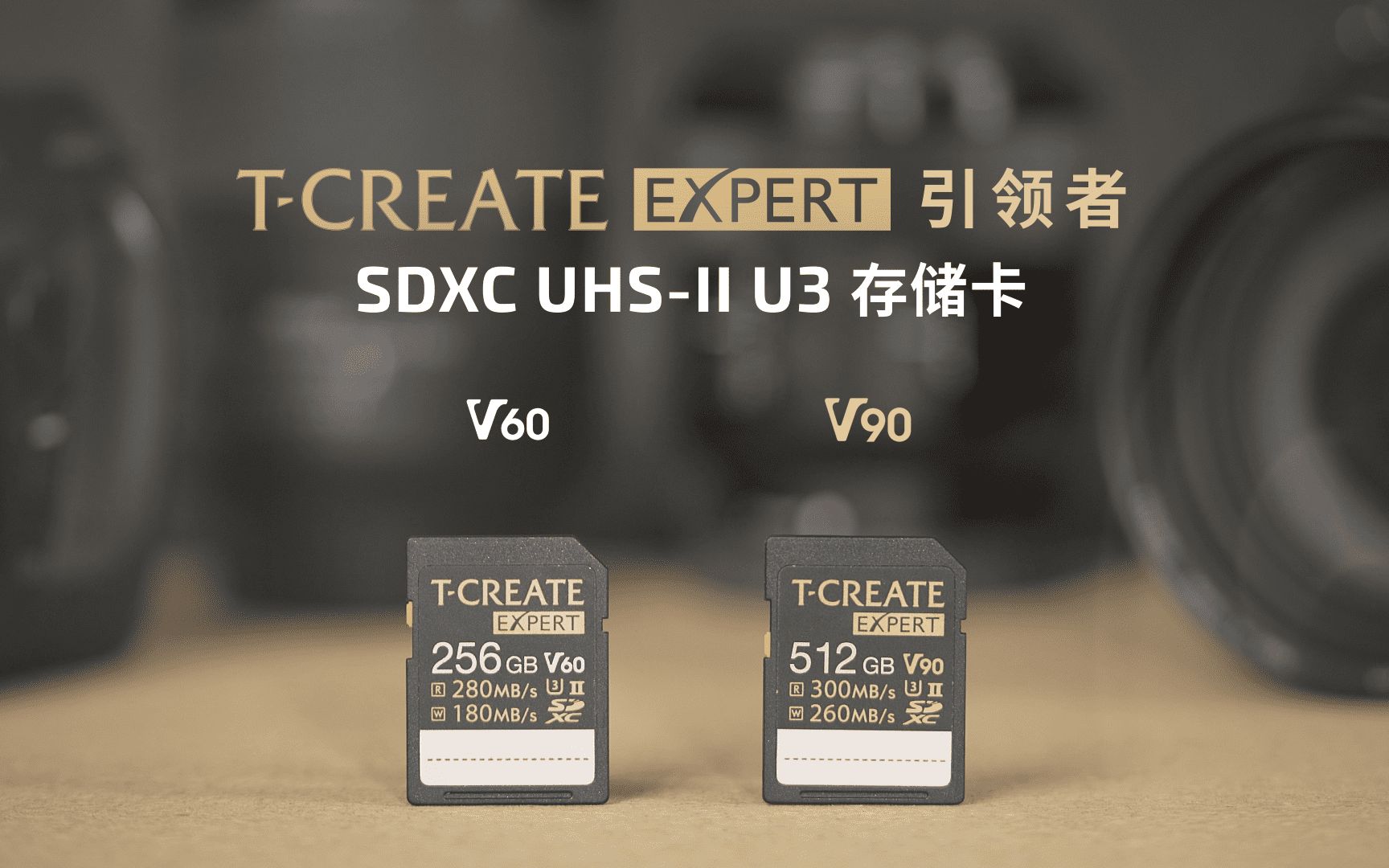 引领者SDXC UHSII U3 V90存储卡 | 十铨科技TEAMGROUP哔哩哔哩bilibili