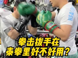 Download Video: 拳击拨手在泰拳里好不好用？