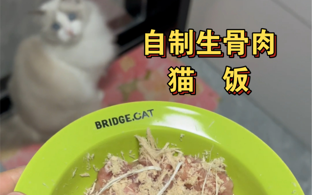 晚餐:自制生骨肉猫饭