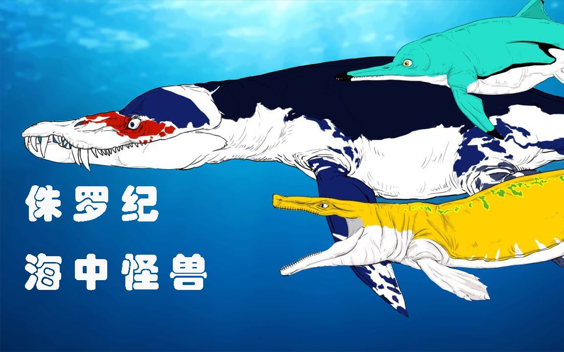 [图]【古生物】侏罗纪海洋怪兽体型大小比较！@刺猬字幕组 Sea Monsters in Dinosaur Times (Jurassic)