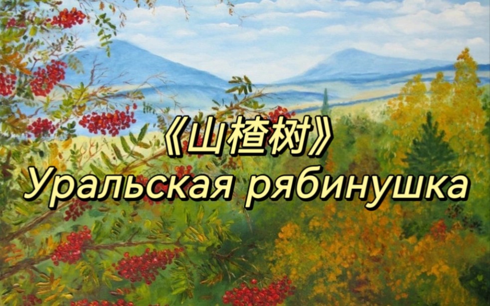 俄語翻唱《山楂樹》Уральская рябину