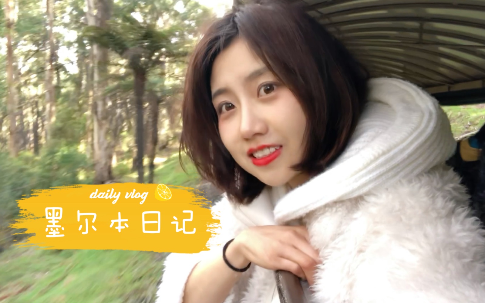 墨尔本vlog日记哔哩哔哩bilibili