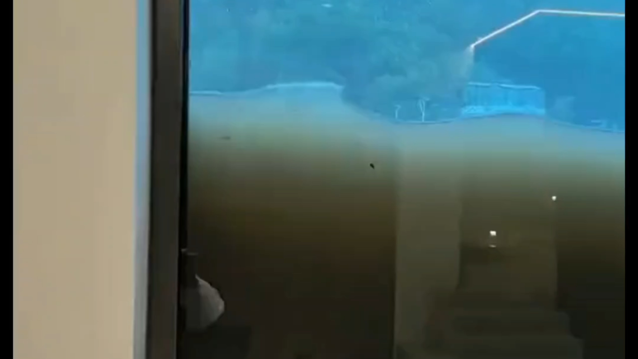 这不是鱼缸，这是台风白海豚