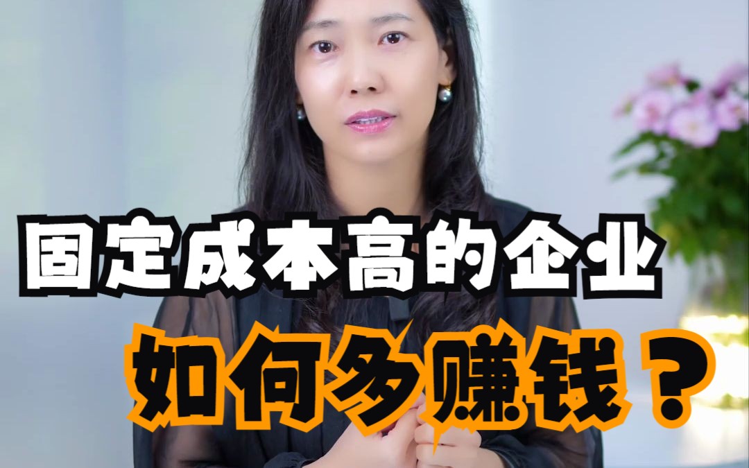 固定成本高的企业,如何多赚钱?哔哩哔哩bilibili