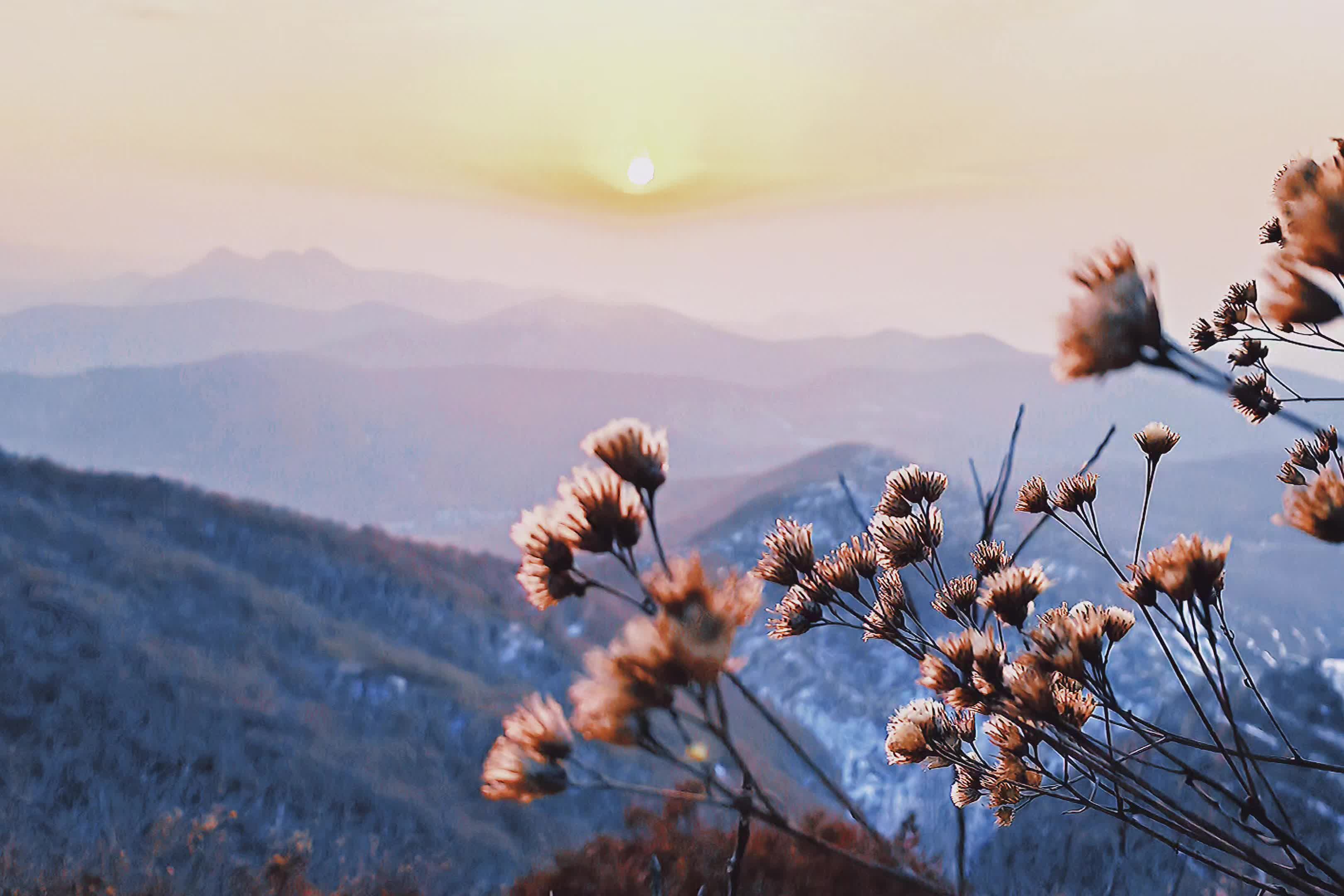 嵩山雪景哔哩哔哩bilibili