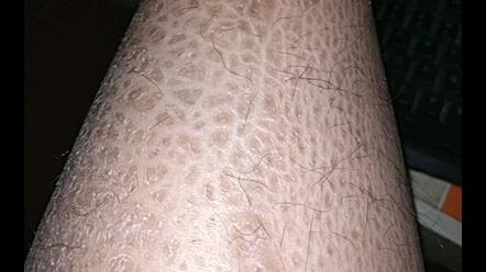 搜索 哔哩哔哩 つロ干杯 Bilibili