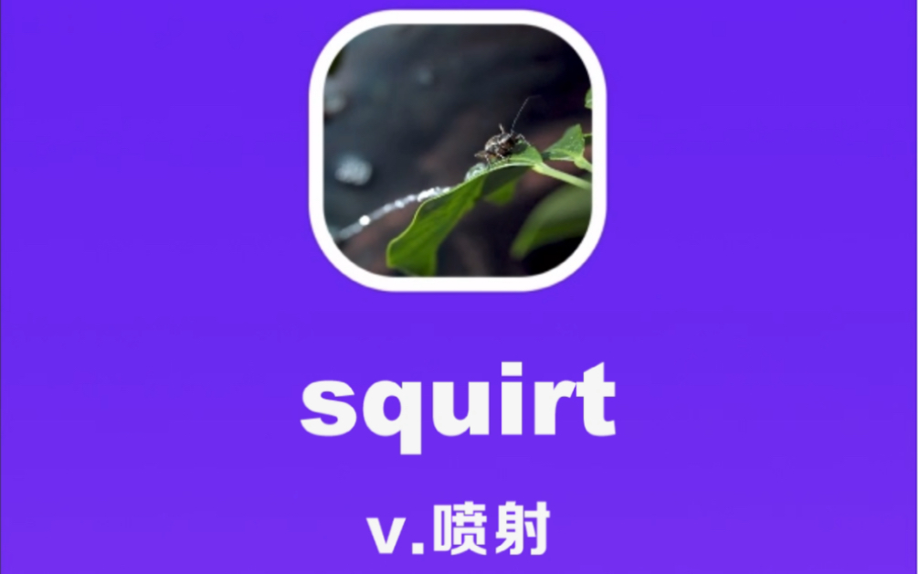 squirt:喷射哔哩哔哩bilibili