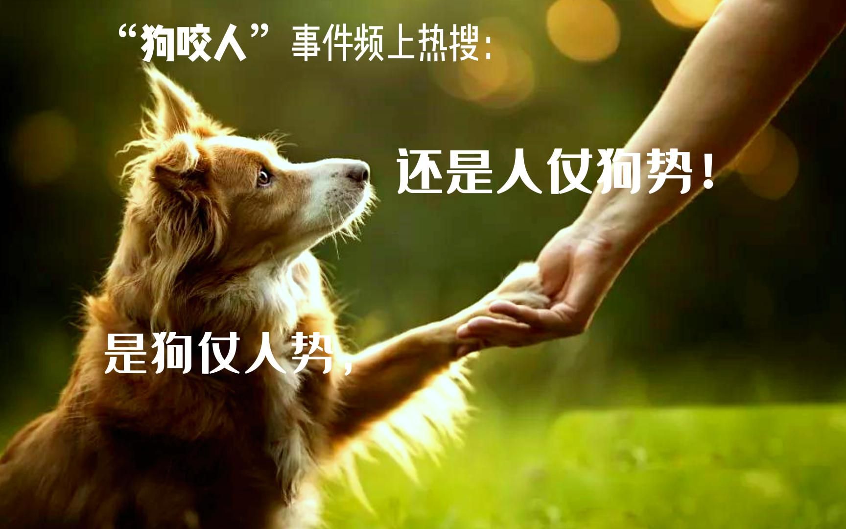 "狗咬人"事件频上热搜:是狗仗人势,还是人仗狗势!