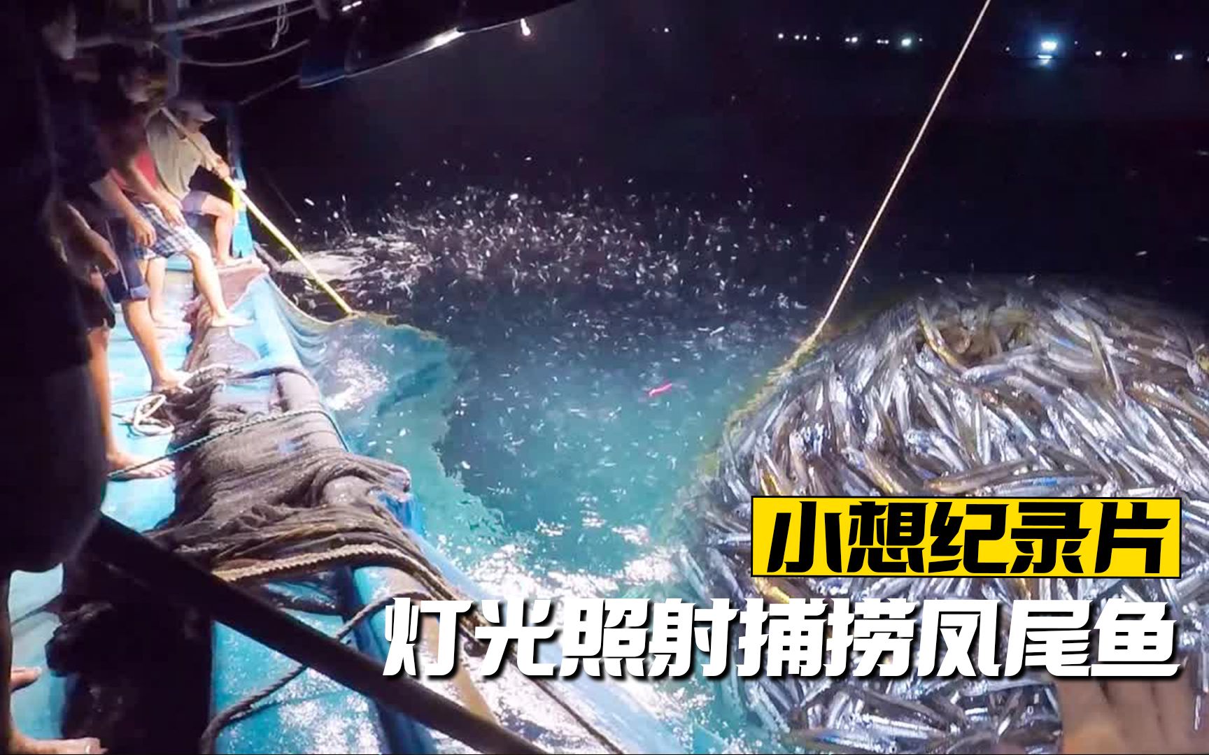 渔民利用灯光照射就能捕鱼,白花花的鱼真像白花花的银子,纪录片