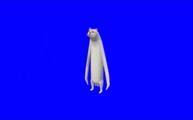 【BB素材】MUR猫的可能性_哔哩哔哩_bilibili