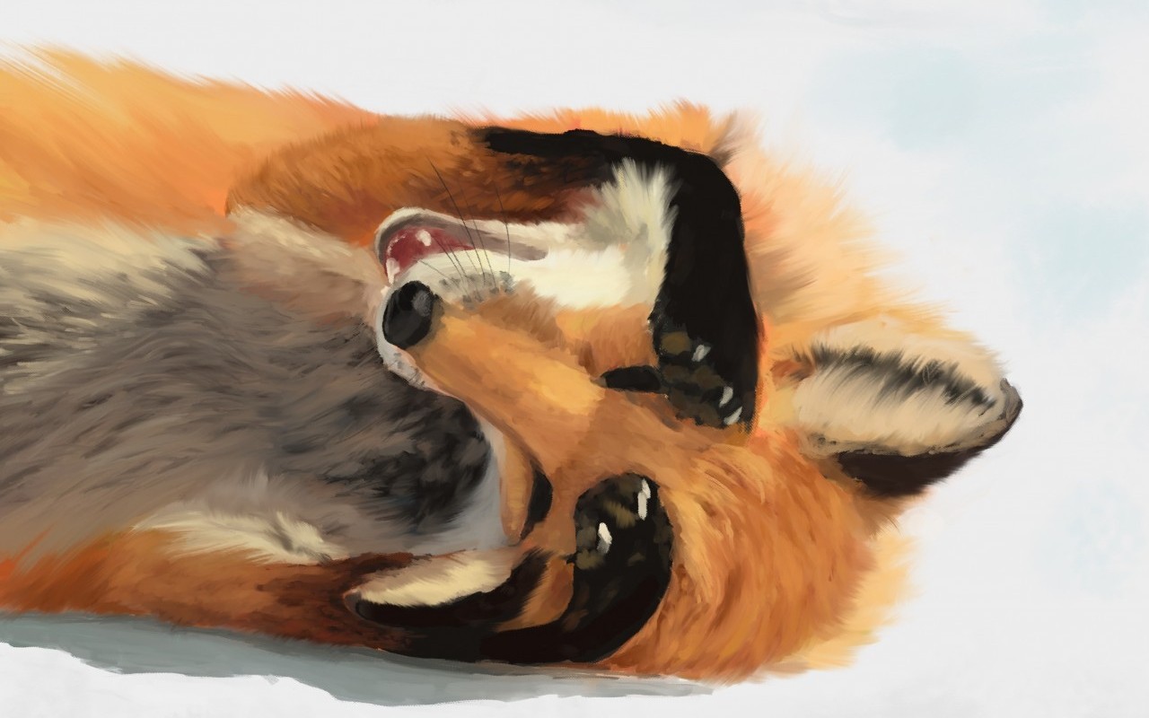 活动  网上的沙雕图(2)