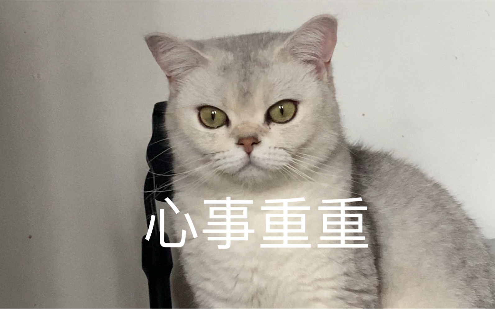 来帮我看看孩子好像有心事但是又不跟我说怎么办怎么办