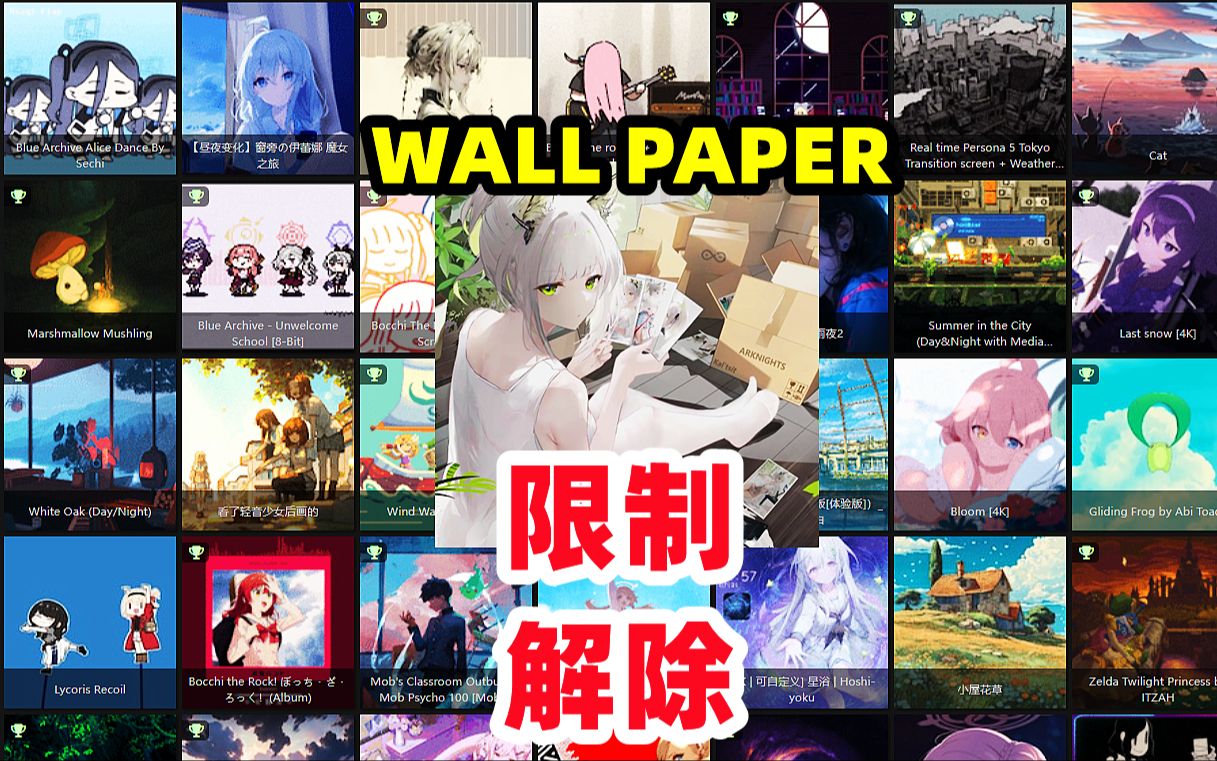 WALLPAPER偏好限制解除【steam避免锁国区方法】哔哩哔哩bilibili