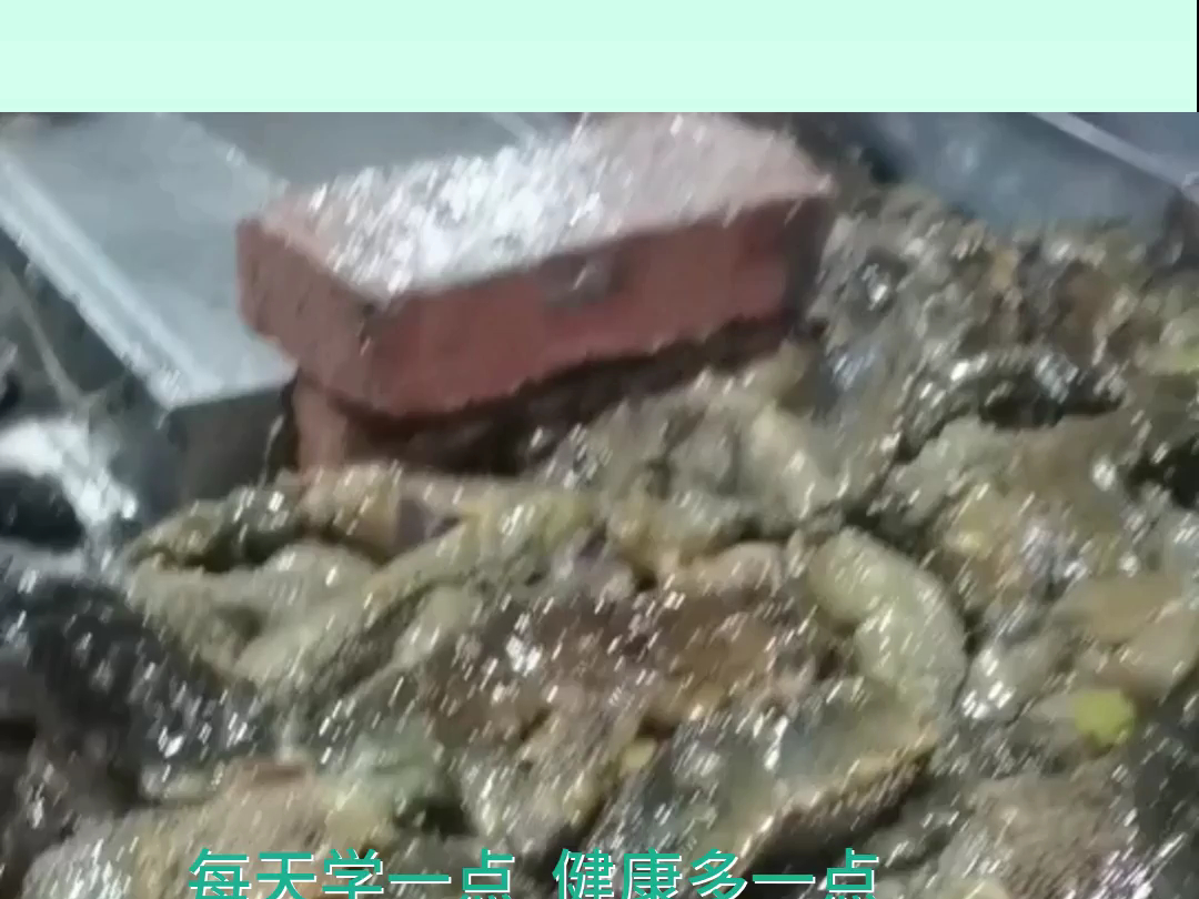 海参 品牌 ,海参推荐 ,海参优质商家哔哩哔哩bilibili