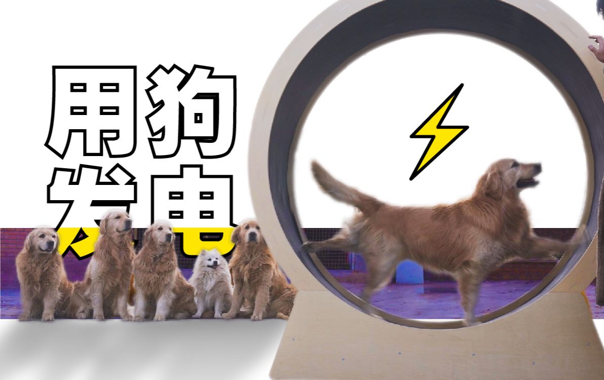 猫狗发电工厂哔哩哔哩bilibili