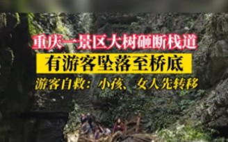 重庆黑山谷景区发生塌方,有游客坠落至桥底,他们合力营救哔哩哔哩bilibili