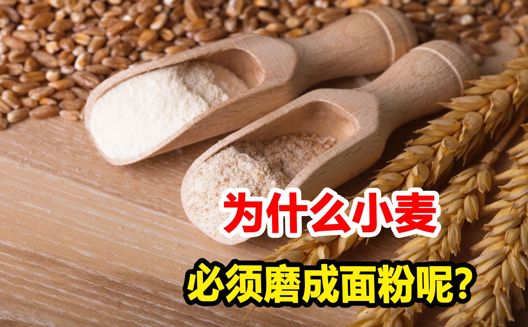 同为淀粉类食物,为什么大米可以直接吃,小麦要磨成面粉呢?