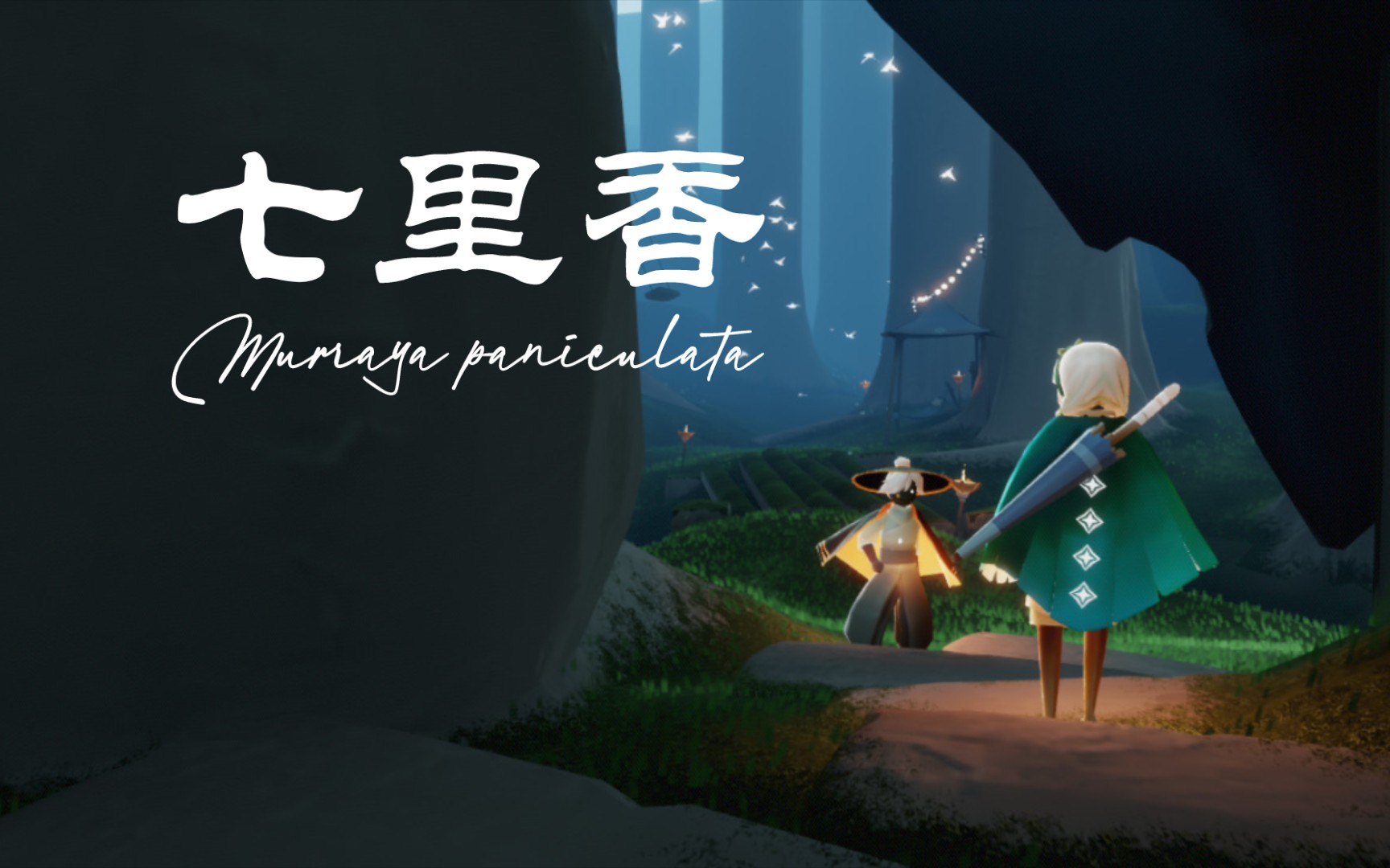 sky光遇00七里香03