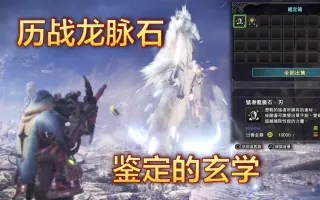 龙脉石 哔哩哔哩 Bilibili
