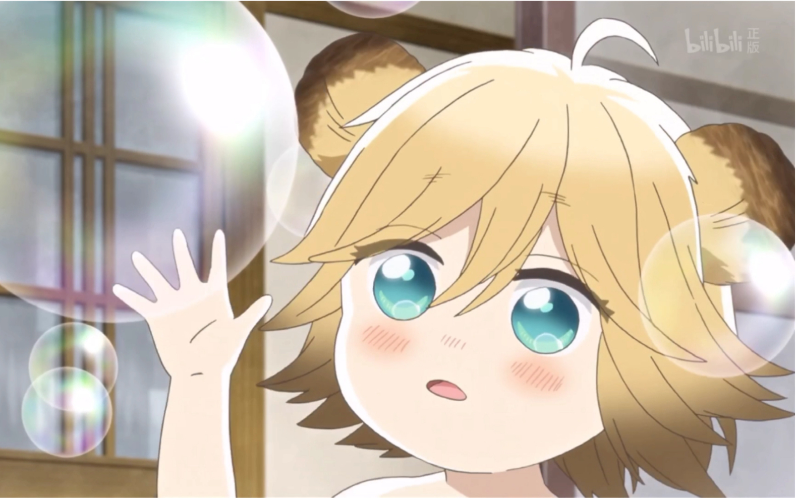 软萌软萌的poco酱!