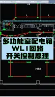 Download Video: 多功能室配电箱WL1回路开关控制原理