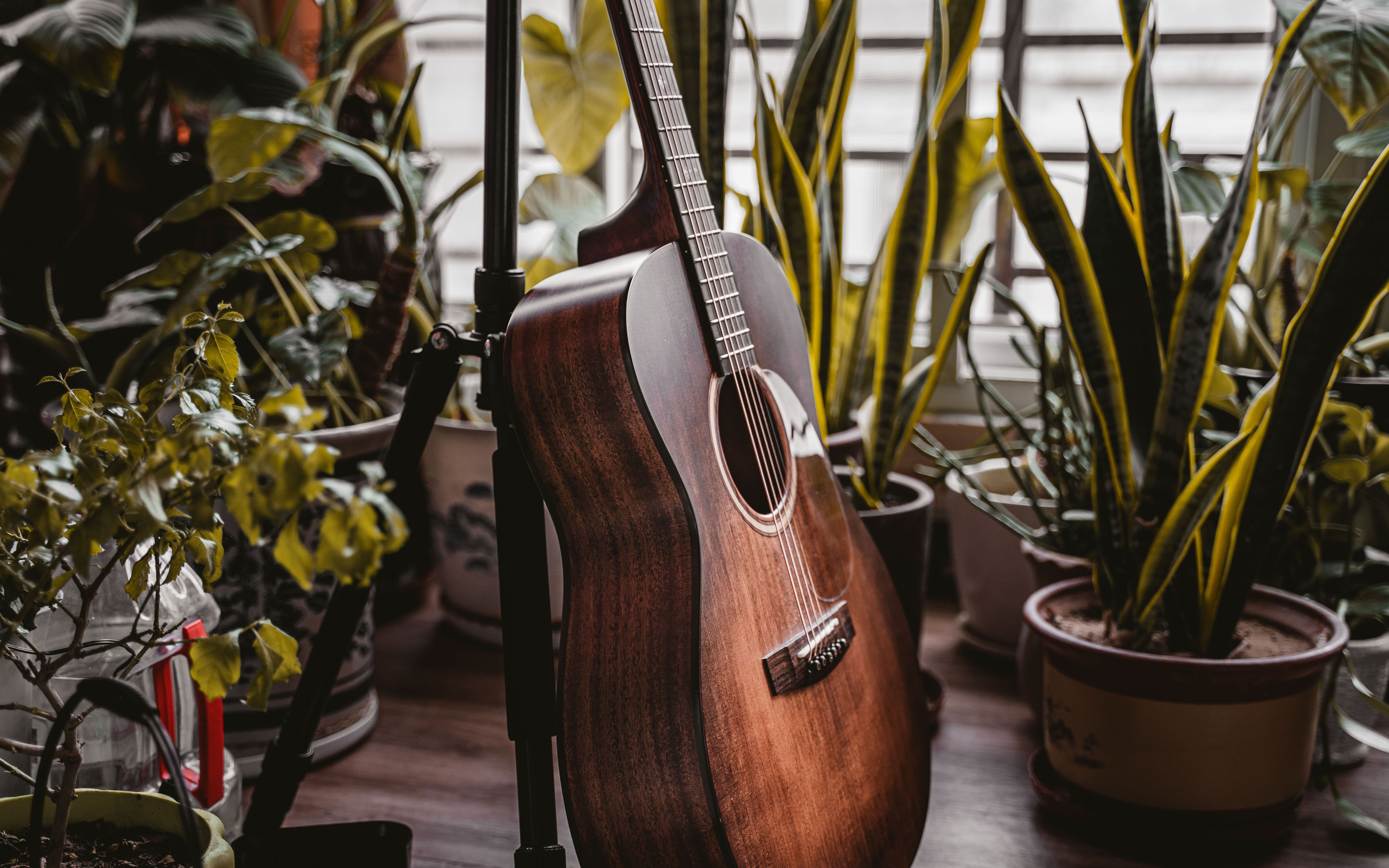 vincent 吉他弹唱(cover?个jb)_哔哩哔哩 (゜-゜)つロ 干杯~-bilibili