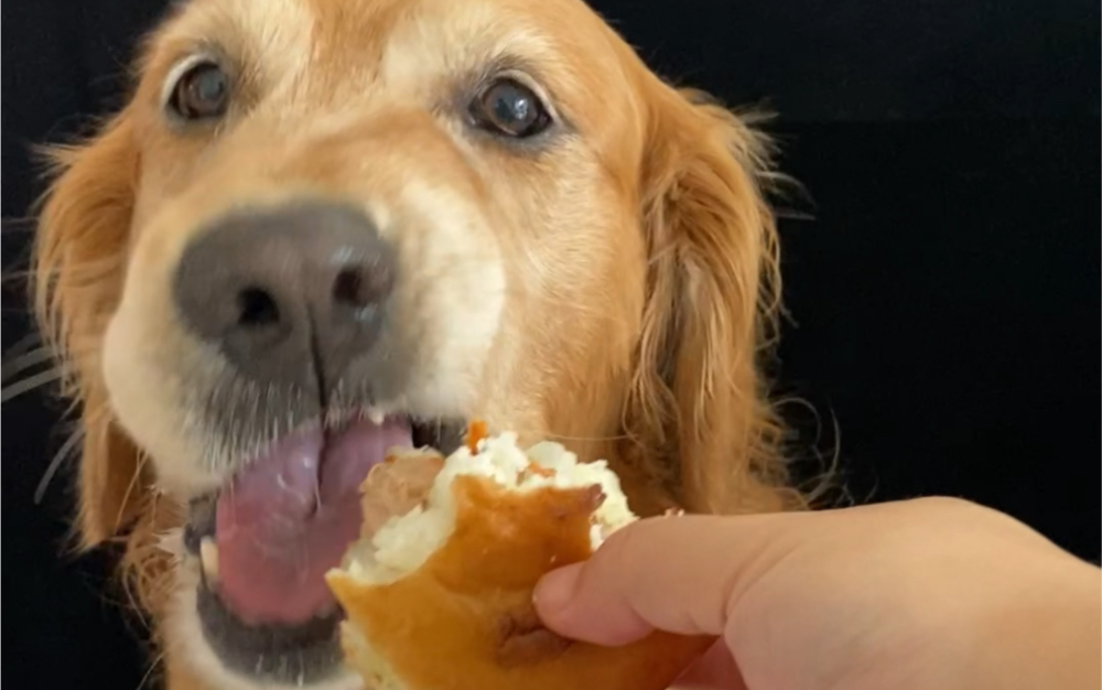 吃的真香啊哈哈