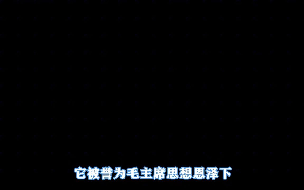 我国唯一共产村,最后的人民公社,“南街村”真实面貌是怎样的?哔哩哔哩bilibili