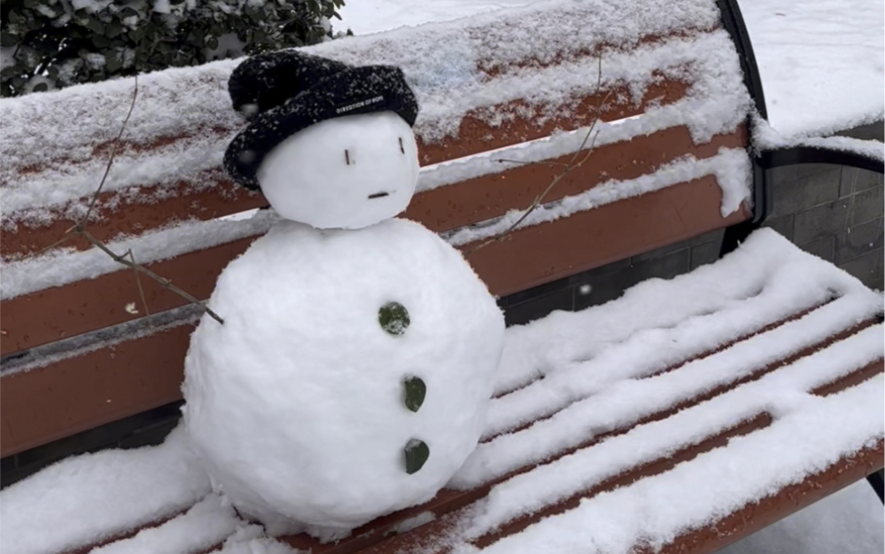 今天教南方的朋友怎么堆雪人