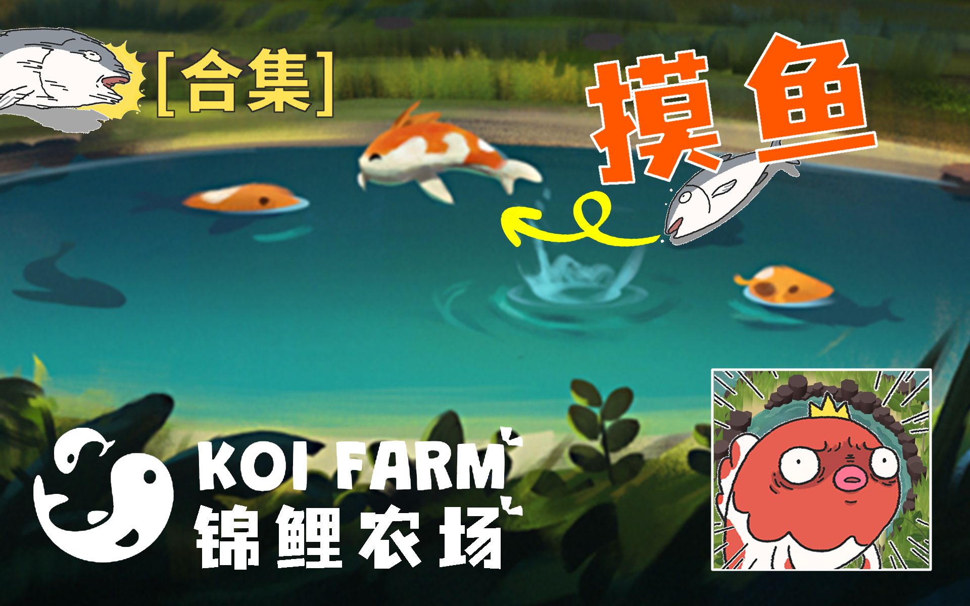 【锦鲤农场】Koi Farm夏日清凉摸鱼游戏 [合集8P]