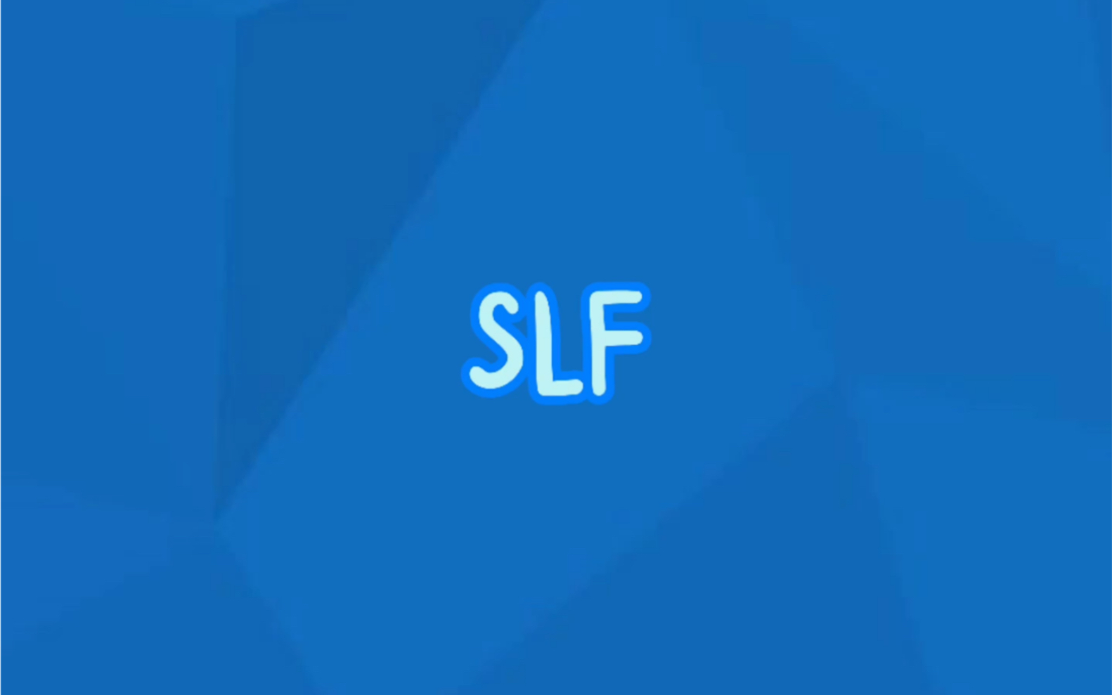 【管理会计】SLF哔哩哔哩bilibili