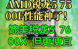 下载视频: AMD锐龙5 7500F性能神了！媲美锐龙5 7600X 但更便宜