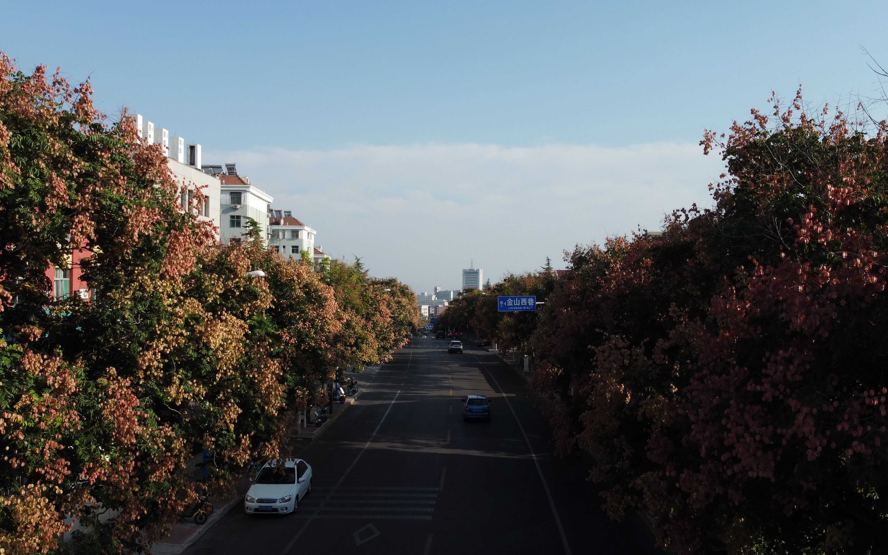 泰安市普照寺路哔哩哔哩bilibili