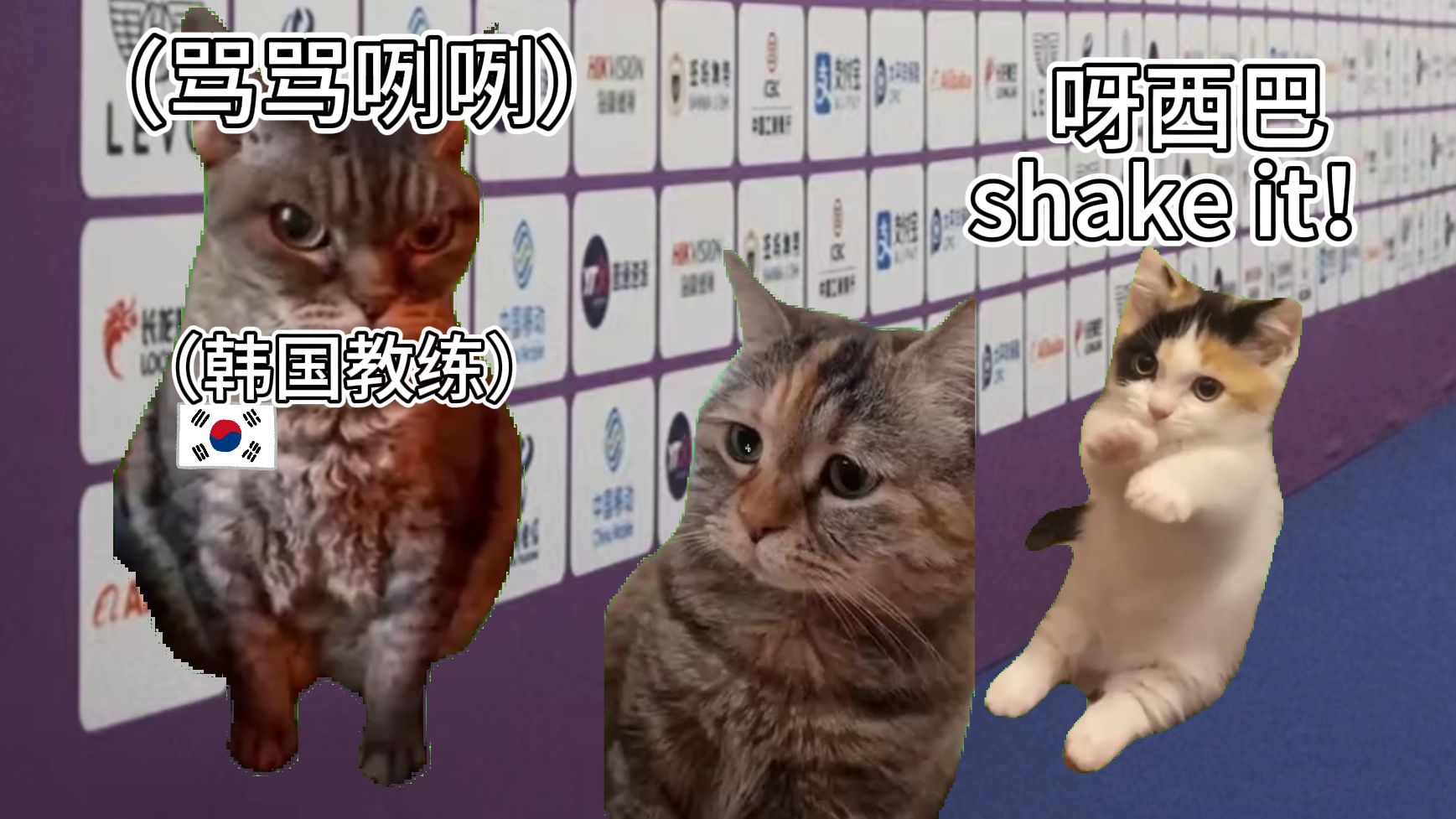 【猫meme】翻译猫亚残篇:我竟然被韩国教练破防了哔哩哔哩bilibili