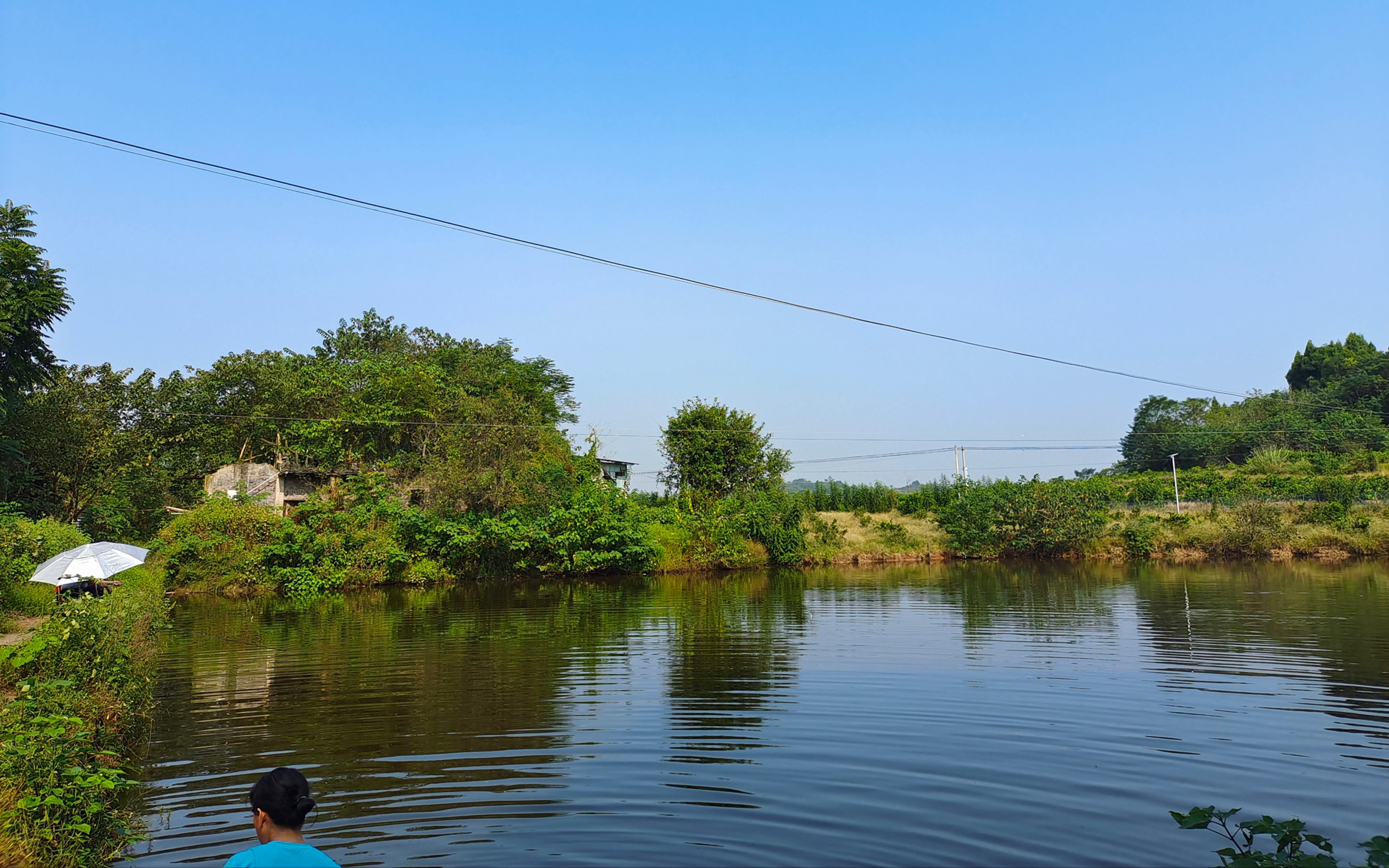 过年村里鱼塘分鱼回家路之被狗追