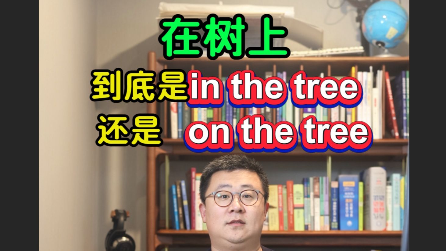 在树上到底是in the tree还是on the tree哔哩哔哩bilibili