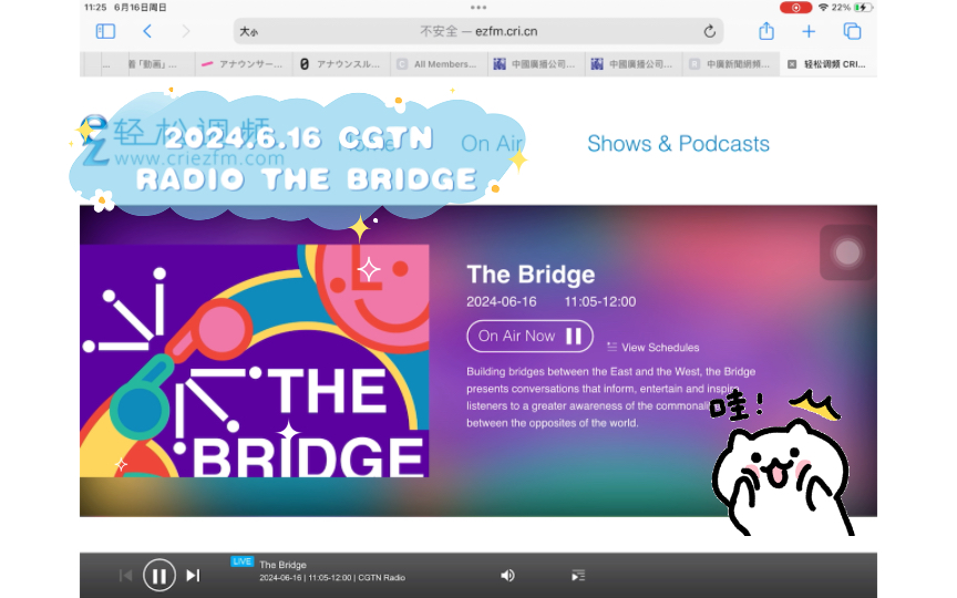 6.16 cgtn radio the bridge
