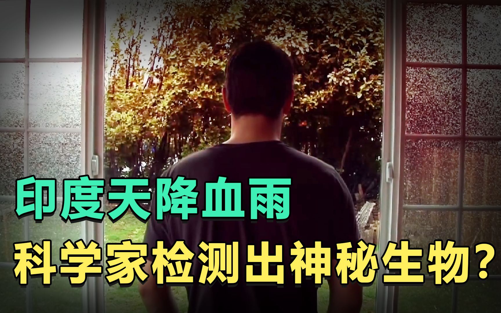 印度天降血雨科学家在雨水中检测出神秘生物它不属于地球