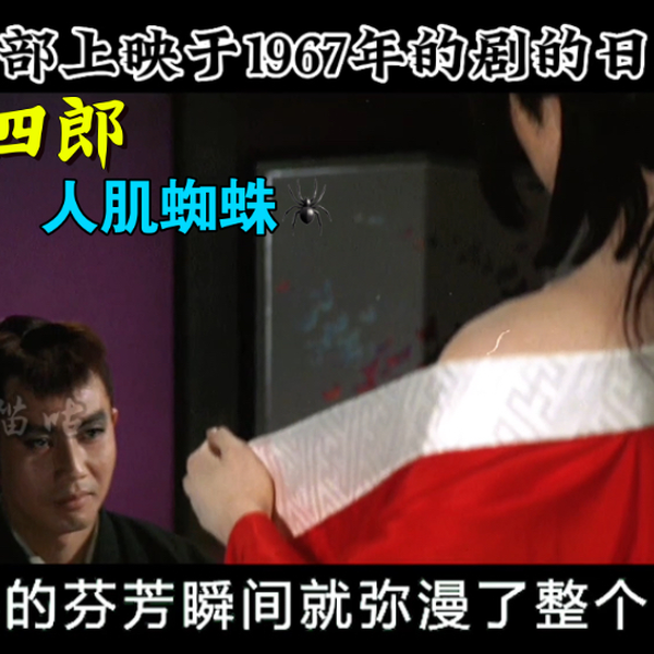 眠狂四郎人肌蜘蛛('68大映)他まとめ売り 眠狂四郎人肌蜘蛛- 维基百科，自由的百科全书