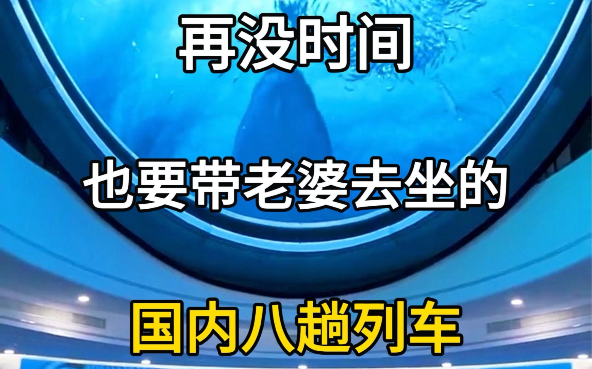 再没时间也要带老婆去坐的八趟列车.带上老婆去旅行,坐上火车去旅行.#旅行大玩家 #旅游攻略 #旅行推荐官 #坐火车去旅行 #带上老婆去旅行哔哩哔哩...