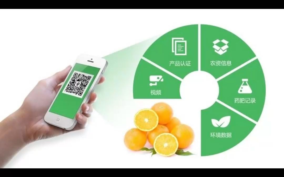 农村电商需掌握5个基本点—宏网播主