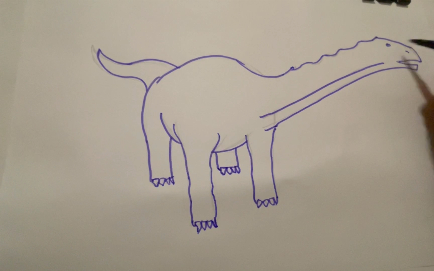 【恐龙系列】阿根廷龙?