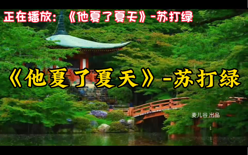 《他夏了夏天》苏打绿,超好听90后华语经典歌曲合集,音乐推荐哔哩哔哩bilibili