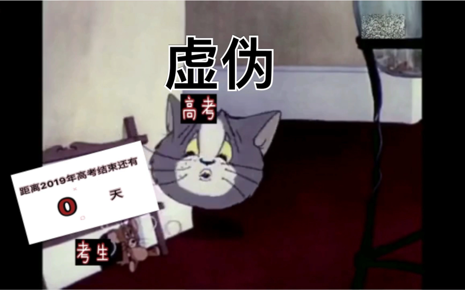 用猫和老鼠打开高考也太可爱了!