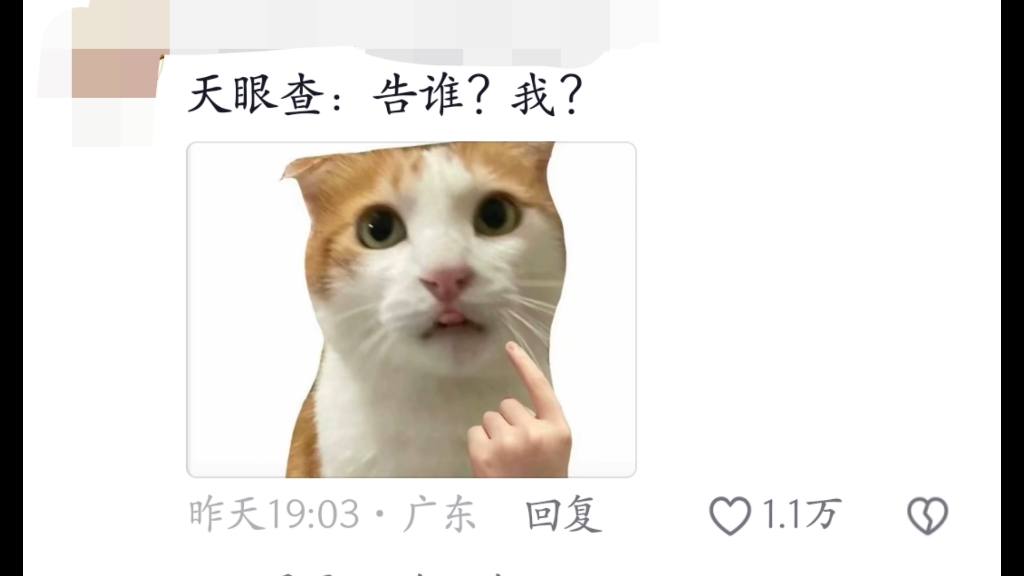 王妈要告天眼查,天眼查:嗯?谁要告我?哔哩哔哩bilibili