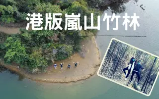 竹林大千 搜索结果 哔哩哔哩 Bilibili