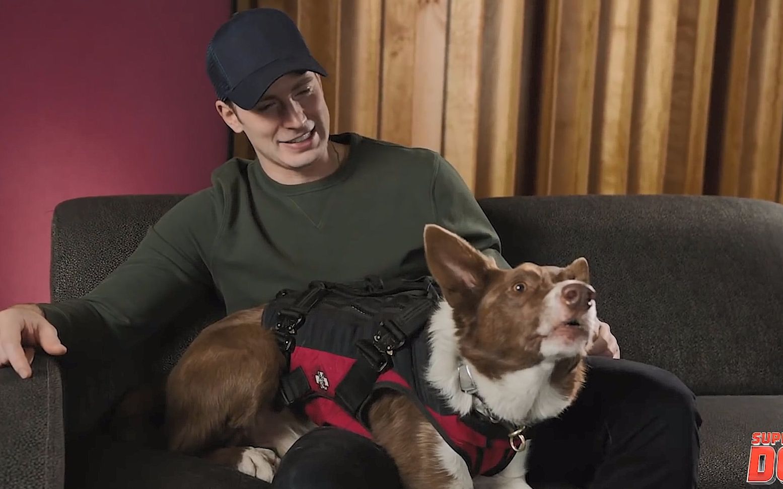 【桃总】chris evans for superpower dogs