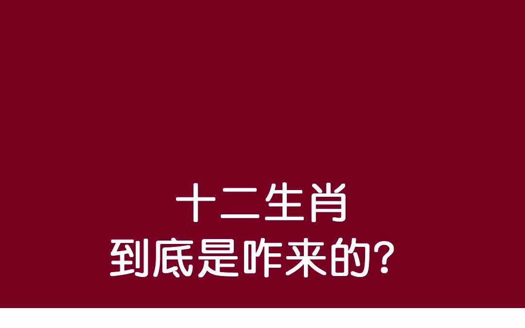 【绘本故事分享】《十二生肖的故事》:家庭必备,让孩子轻松了解十二生肖的由来.哔哩哔哩bilibili